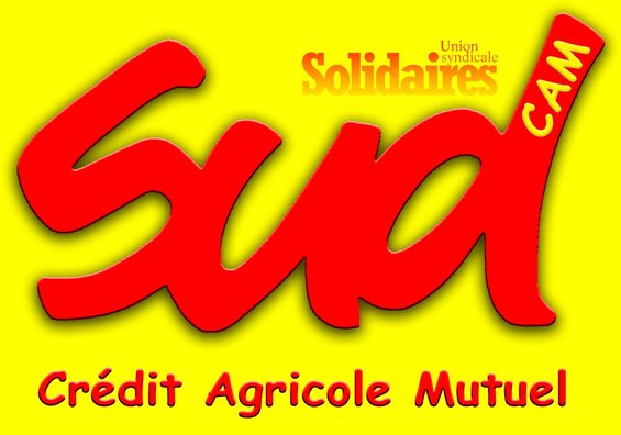 Logo sudcam